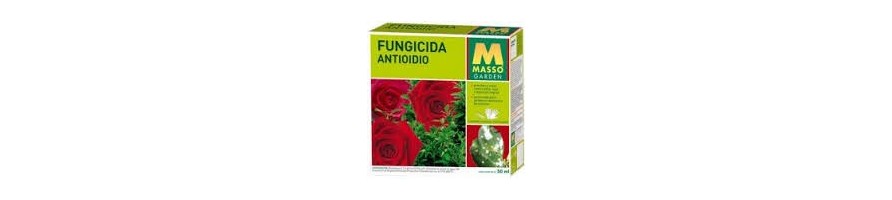 TRATAMIENTO HUERTA Y JARDÍN